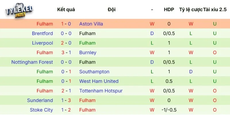 Kết quả ra sân mới đây của Fulham