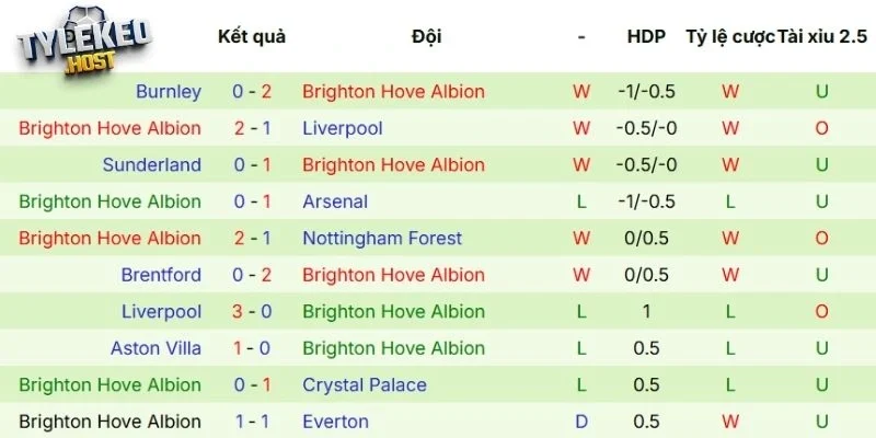 Kết quả thi đấu của Brighton