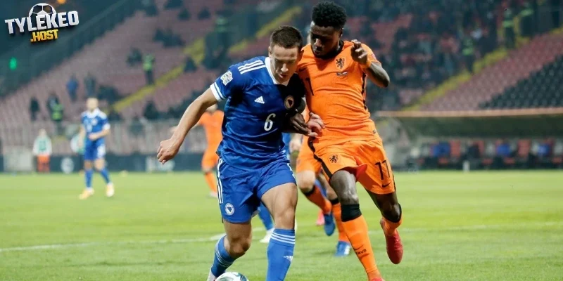 Danh sách ra sân Thụy Sĩ vs Bosnia and Herzegovina