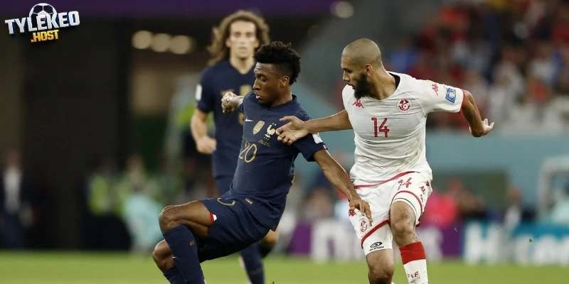 Đội hình ra sân của Tunisia vs Nhật Bản