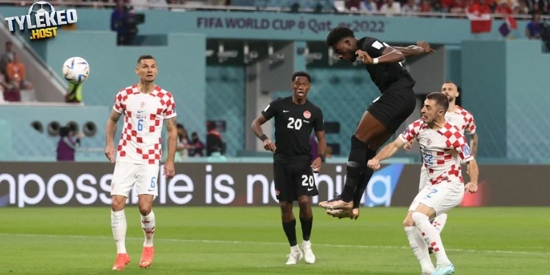 Dự đoán kèo trận Canada vs Qatar