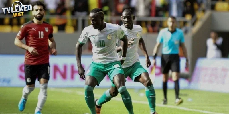 Nhận định tỷ lệ cược châu Âu Sénégal vs Iraq
