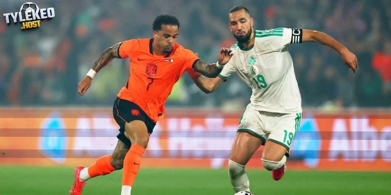 Sơ đồ ra sân dự kiến của trận đấu Algérie vs Áo